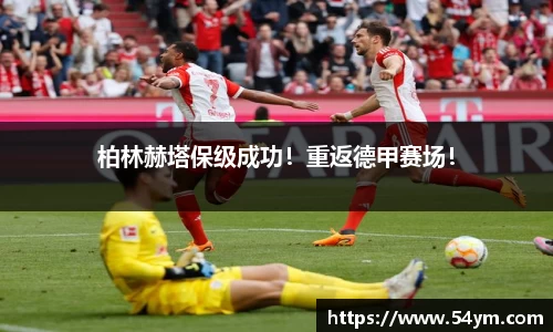 HAHABET平台